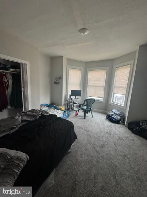 1341 E Rittenhouse St, Philadelphia, PA 19138 - carpeted bedroom featuring a textured ceiling, a closet, and multiple windows
