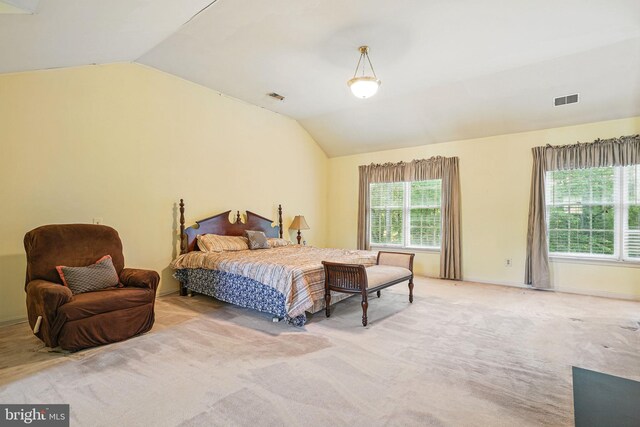 1728 Catherine Fran Dr, Accokeek, MD 20607 - bedroom featuring visible vents, vaulted ceiling, and multiple windows