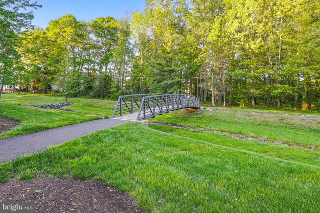 1728 Catherine Fran Dr, Accokeek, MD 20607 - view of yard