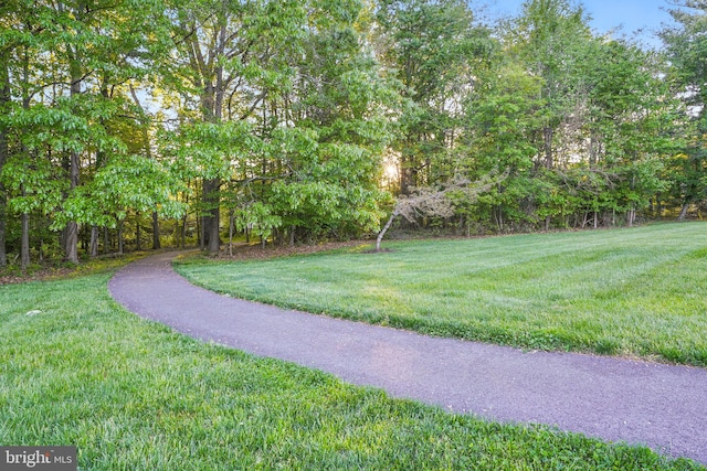 1728 Catherine Fran Dr, Accokeek, MD 20607 - view of yard