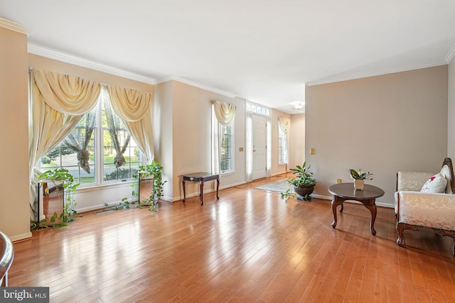 1728 Catherine Fran Dr, Accokeek, MD 20607 - living area with crown molding, light wood-style flooring, and baseboards