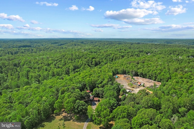 41 Wood Landing Rd, Fredericksburg, VA 22405 - drone / aerial view of a forest