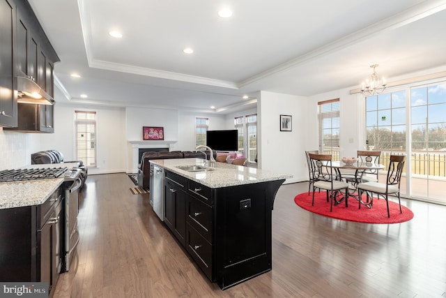 kitchen featuring a tray ceiling, a sink, open floor plan, dark cabinetry, and appliances with stainless steel finishes