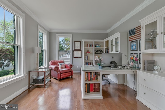 office space featuring light wood-style flooring, baseboards, and crown molding
