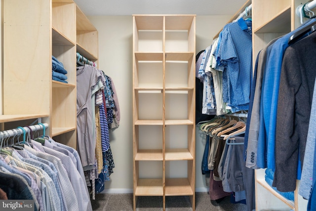 walk in closet with carpet flooring