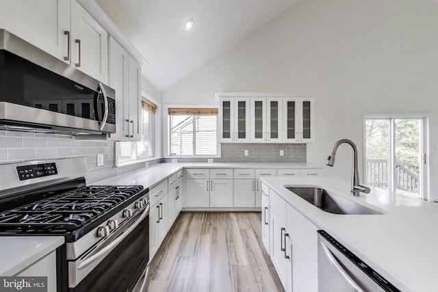 kitchen featuring white cabinets, stainless steel appliances, a sink, and light countertops