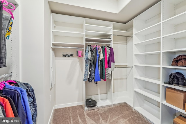 45918 Swallow Ter, Sterling, VA 20165 - walk in closet featuring carpet floors