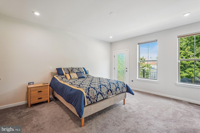 45918 Swallow Ter, Sterling, VA 20165 - bedroom with carpet floors, access to exterior, and recessed lighting