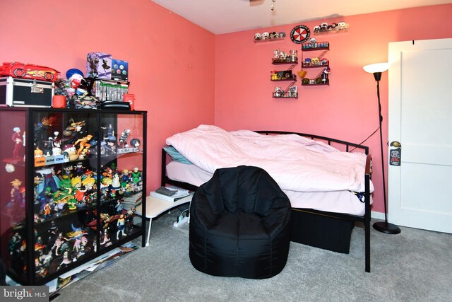 1303 Belle View Blvd Unit B1, Alexandria, VA 22307 - bedroom featuring carpet