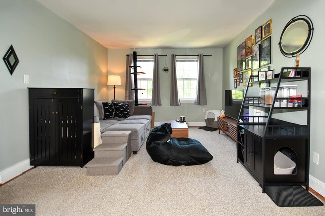 1303 Belle View Blvd Unit B1, Alexandria, VA 22307 - carpeted living area featuring baseboards