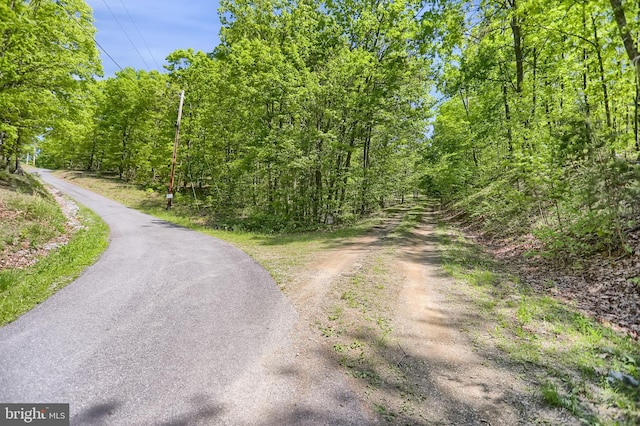 1898 Rocky Bluff Ln, James Creek, PA 16657 - view of asphalt road with a view of trees