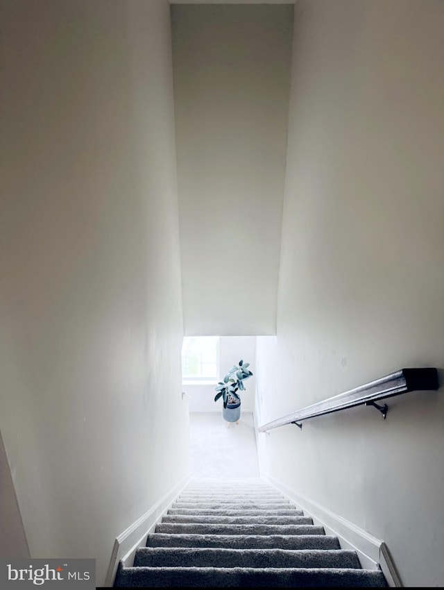 12 Canal Xing Unit 228, Burlington Township, NJ 08016 - stairway with a baseboard heating unit, carpet floors, and baseboards