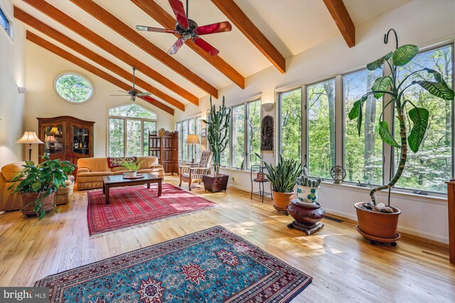 sunroom / solarium featuring baseboards, beam ceiling, and hardwood / wood-style flooring