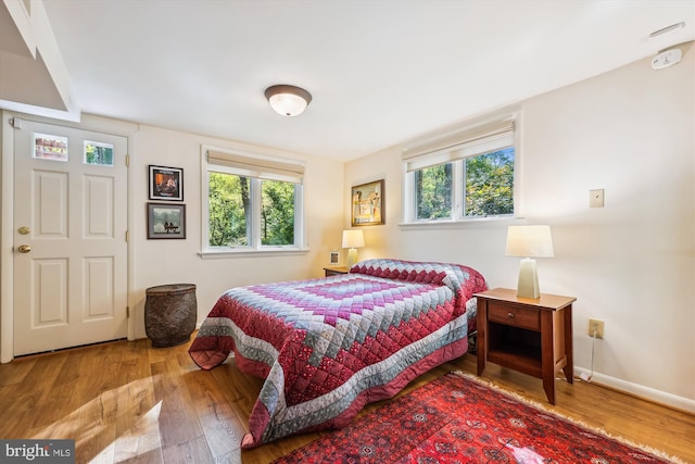 bedroom featuring baseboards, wood finished floors, and multiple windows