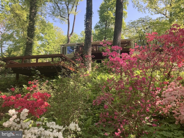view of yard with stairway and a deck