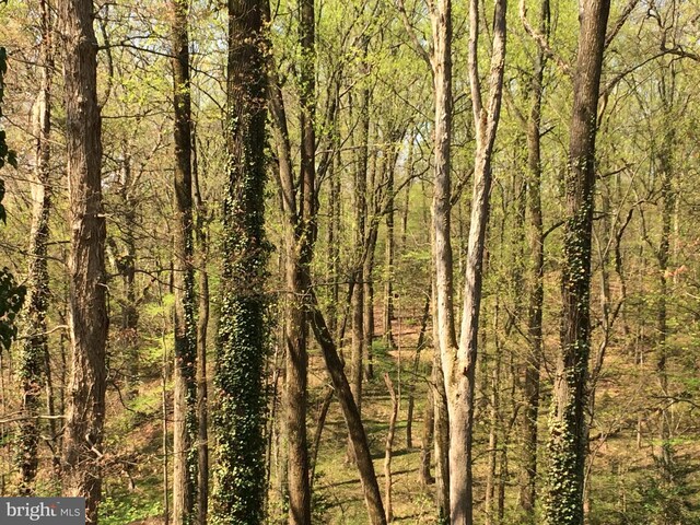 view of local wilderness with a forest view