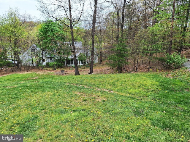 view of yard