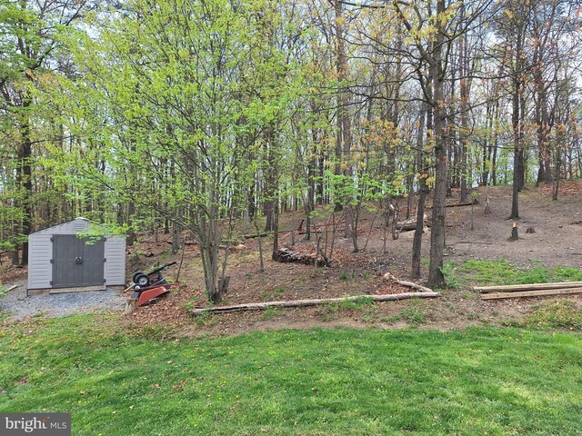 view of yard with a storage unit and an outdoor structure