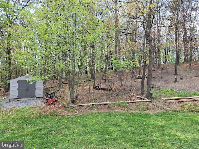 view of yard with a storage unit and an outdoor structure