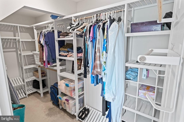 view of spacious closet