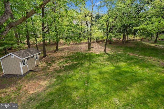 view of yard with an outbuilding and a shed