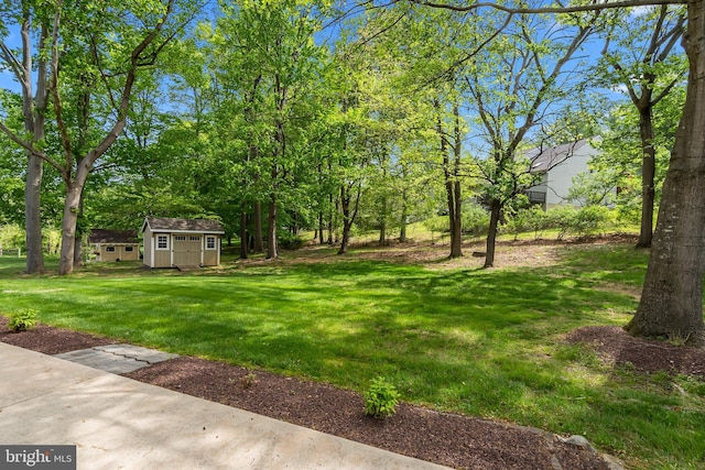 view of yard featuring a storage shed and an outdoor structure