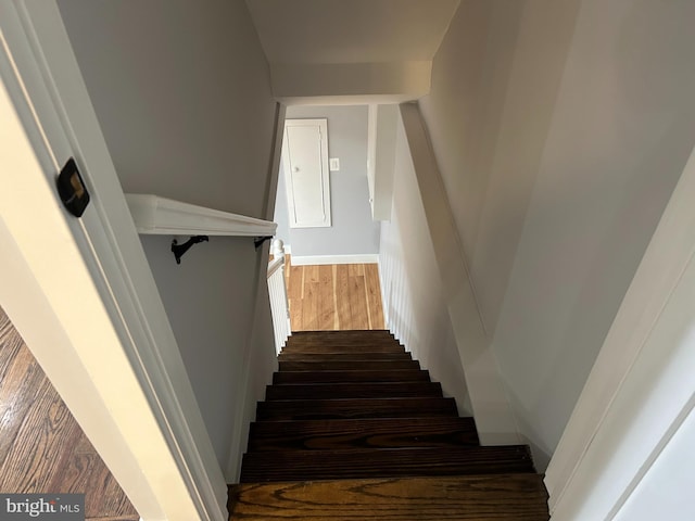 stairway with wood finished floors