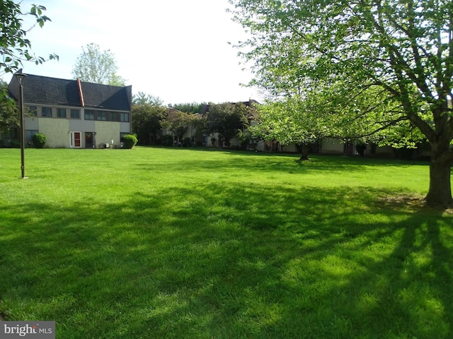 view of green lawn