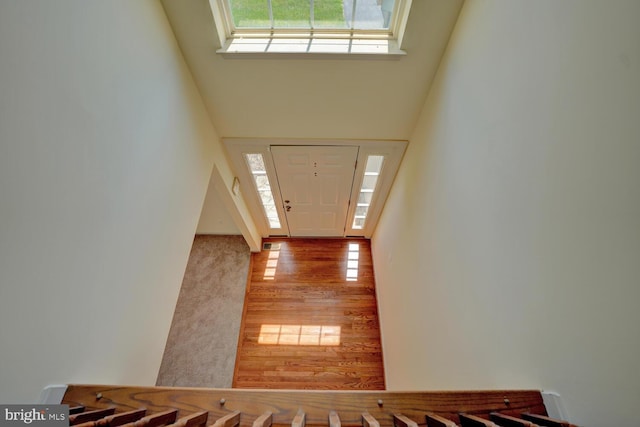 170 Otter Way, Frederica, DE 19946 - foyer entrance featuring plenty of natural light, wood finished floors, and a high ceiling