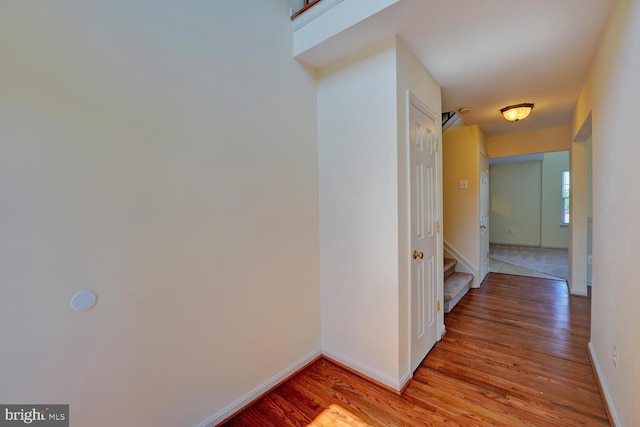 170 Otter Way, Frederica, DE 19946 - hall with light wood-type flooring and stairs