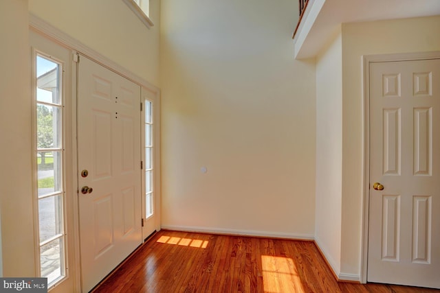 170 Otter Way, Frederica, DE 19946 - foyer entrance featuring wood finished floors and baseboards