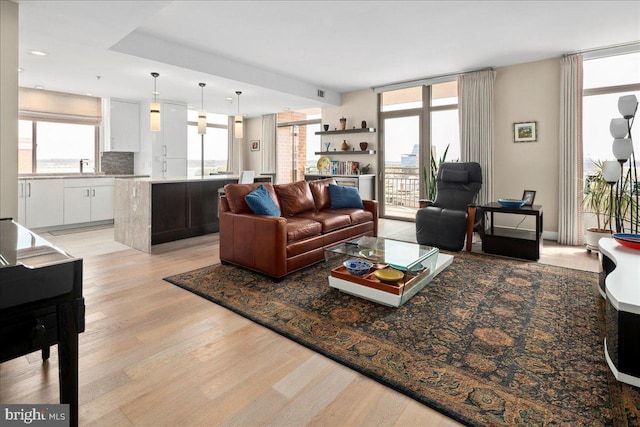 living room with light wood-type flooring