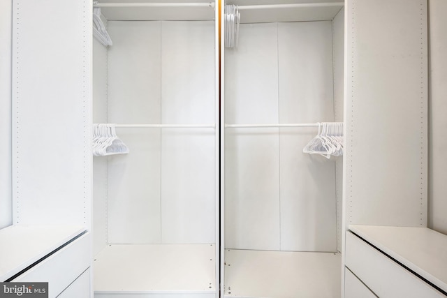 view of spacious closet
