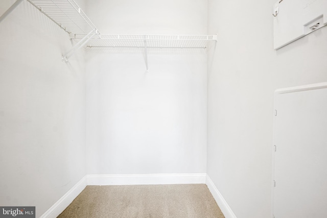 walk in closet with carpet