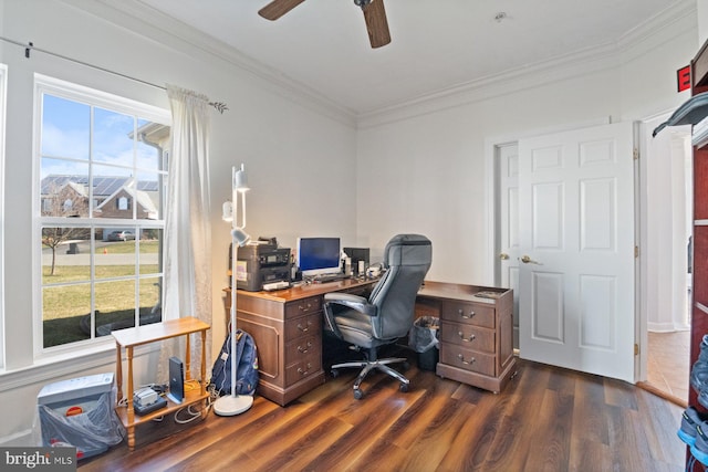 office area featuring dark wood finished floors, ceiling fan, and crown molding