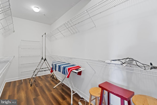 spacious closet featuring wood finished floors