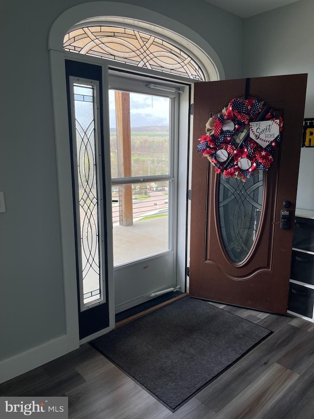 foyer entrance with wood finished floors and plenty of natural light