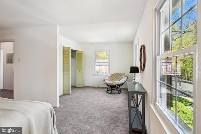 bedroom featuring baseboards and carpet flooring