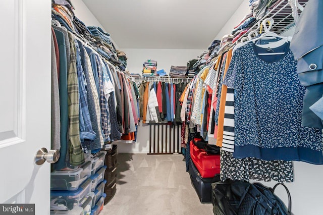 spacious closet featuring carpet flooring