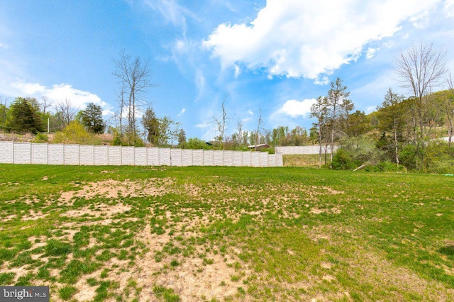 view of yard