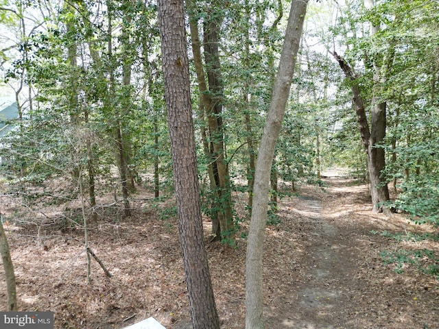 38 S Horseshoe Dr, Ocean View, DE 19970