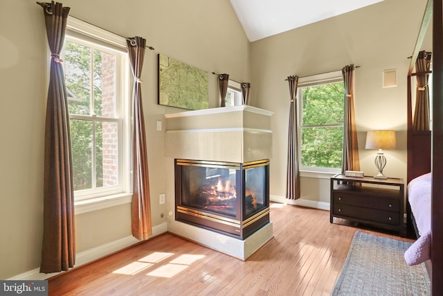 interior space with a multi sided fireplace, a healthy amount of sunlight, wood finished floors, and lofted ceiling