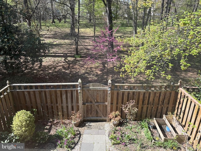 view of yard with fence and a gate