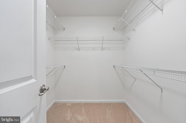 172 Trout Lily Dr, Lake Frederick, VA 22630 - spacious closet with carpet