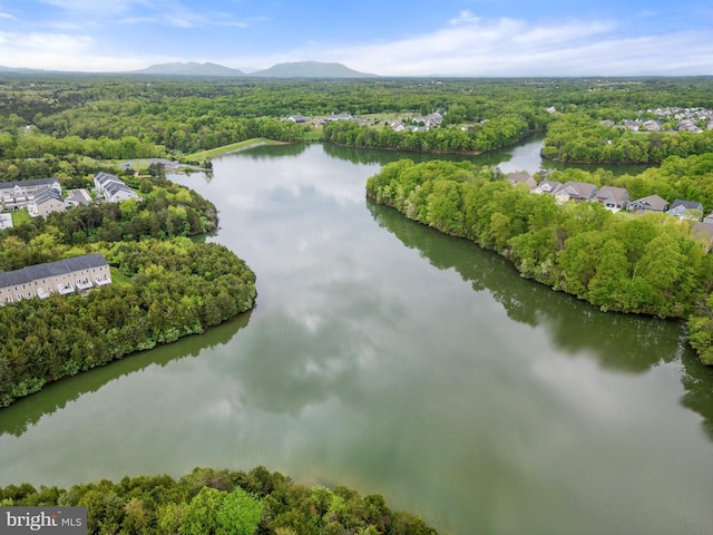 172 Trout Lily Dr, Lake Frederick, VA 22630 - drone / aerial view of a water and mountain view and a forest