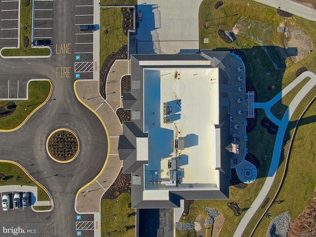 bird's eye view
