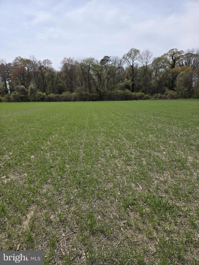 0 Liberty Rd, Federalsburg, MD 21632
