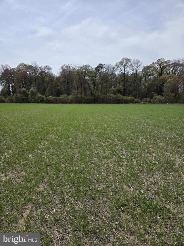 0 Liberty Rd, Federalsburg, MD 21632