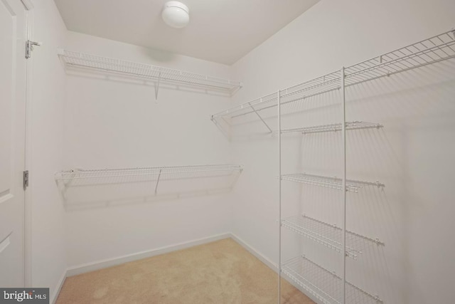 1539 Rabbit Hollow Pl, Silver Spring, MD 20906 - walk in closet featuring carpet floors
