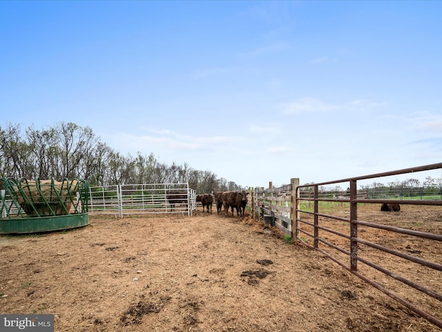 view of stable with a rural view